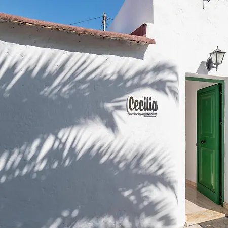 Cecilia Holiday home La Orotava